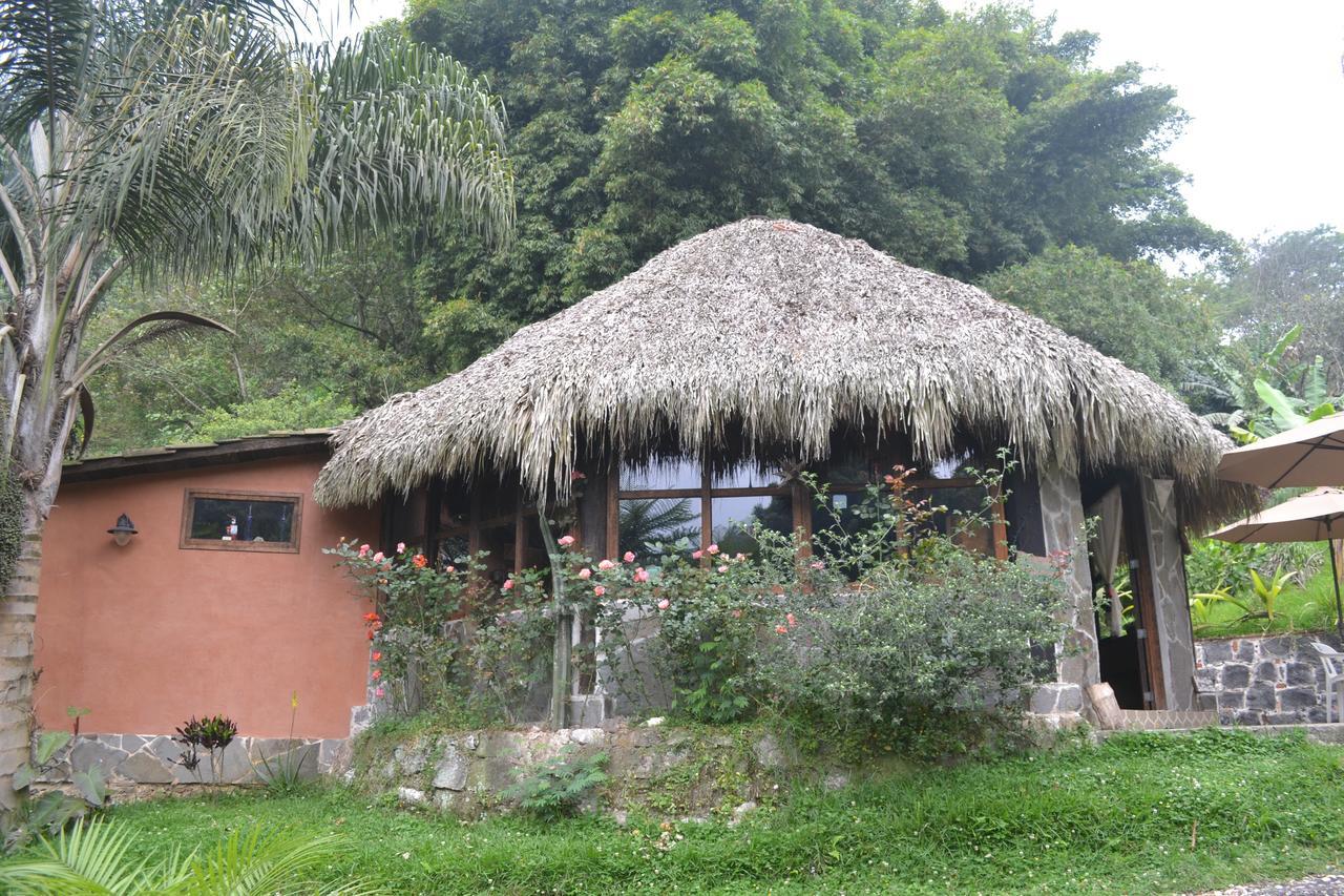 Eco Hotel La Jicarita Coatepec  Exterior photo